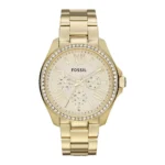 Fossil Cecile For Women Gold Dial Stainless Steel Band Watch - AM4482