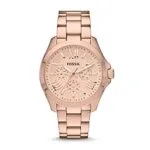 Fossil Cecile For Women Rose Gold Dial Stainless Steel Band Watch AM4511, Analog