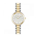 BOSS Sena 34mm Two Tone Ladies Watch 1502761