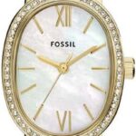 FOSSIL BQ3976 Bannon Three Hand Date Wrist Watch for Men, 45 mm Case Diameter, Silver/Green