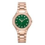 Cerruti 1881 Women's Watch Ciwlg0086401