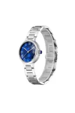 KENNETH SCOTT Women's Stainless Steel Analog Watch K23553-SBSN - 32 mm